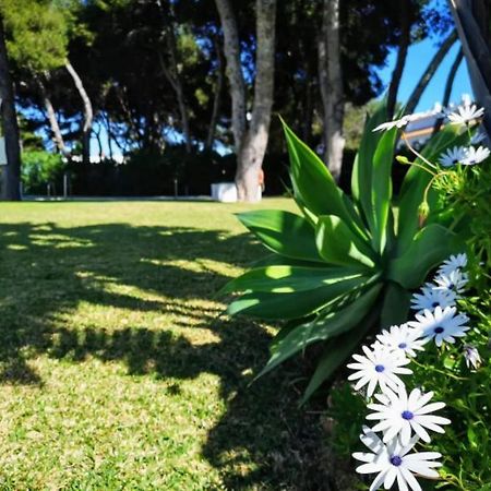 ¡Nuevo! Zona Tranquila Cerca De La Playa De La Carihuela Apartment Торемолинос Екстериор снимка