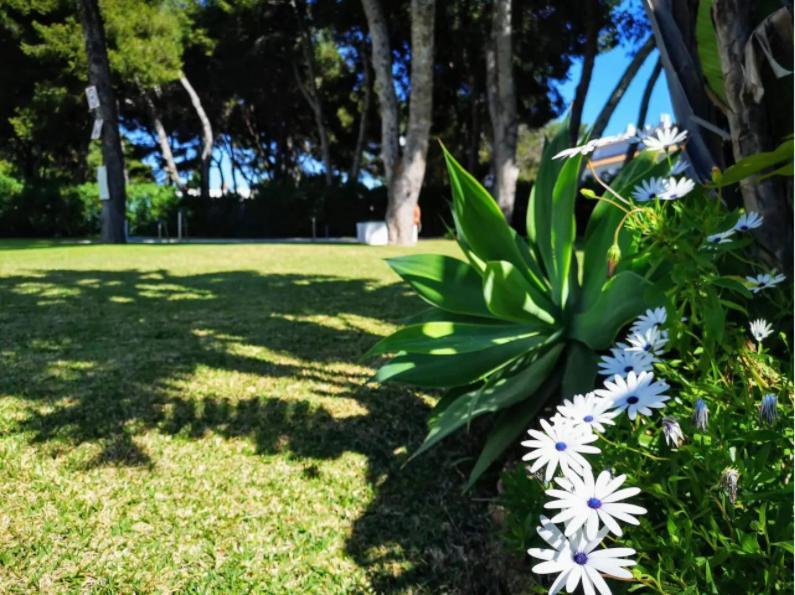 ¡Nuevo! Zona Tranquila Cerca De La Playa De La Carihuela Apartment Торемолинос Екстериор снимка